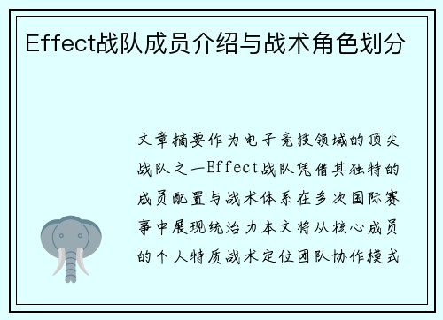 Effect战队成员介绍与战术角色划分